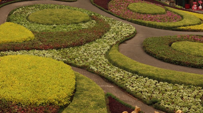 Summer Landscape Features